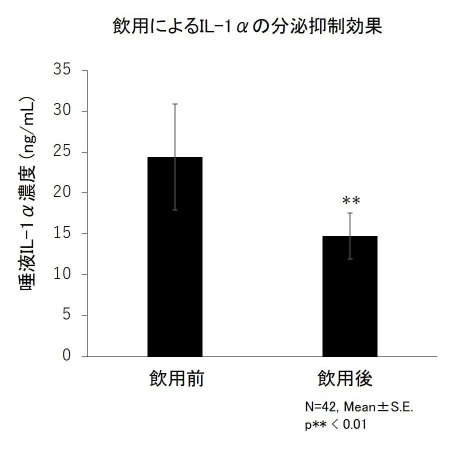 画像11