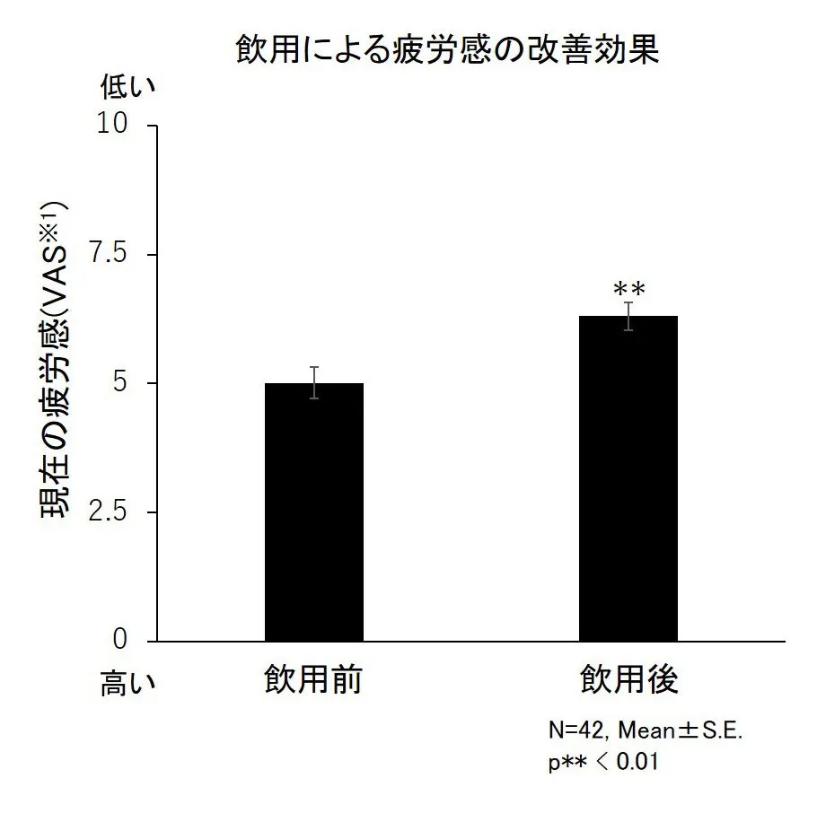 画像13