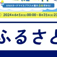 ANAのふるさと納税が進化