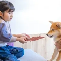 愛犬と楽しい宿泊