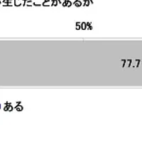 カーライフ調査2024