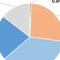 市場の激動とその真実