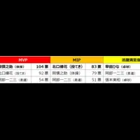 日本代表の活躍評価