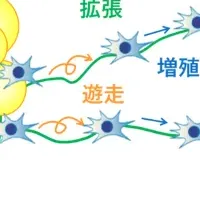 ヘアケアの新たな挑戦