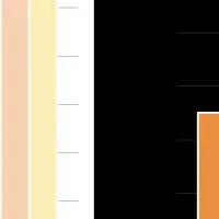 デベロッパー調査2024