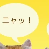 新刊『猫語辞典』