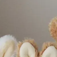 夢のコラボ発表!