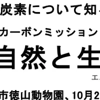 楽しく脱炭素！