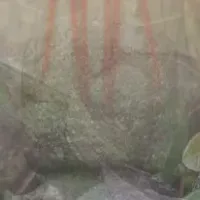 定家を楽しむ会