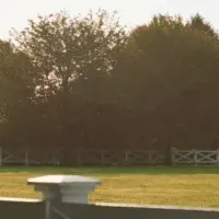 ハンプトンズとラルフ