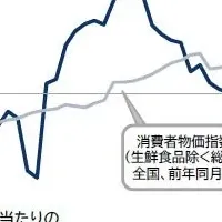 カレーライス物価高騰