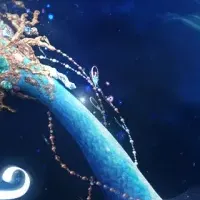 幻海の夢開幕