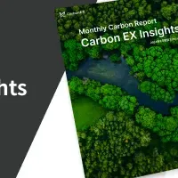 Carbon EX Insights