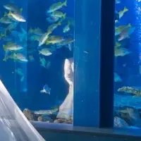 鳥羽水族館ウエディング