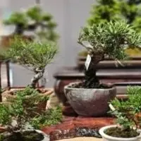 植物イベント浜松