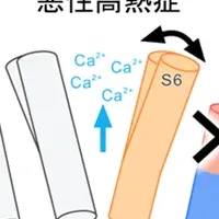 筋疾患の新発見