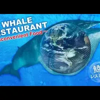 ドキュメンタリー映画