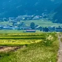 野沢温泉自転車祭