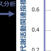 メンタルヘルス支援実験