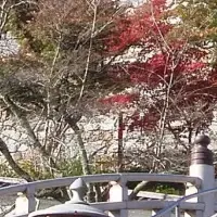 福知山市秋のおたより