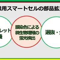 新技術で微生物検出