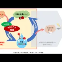 二酸化炭素からギ酸