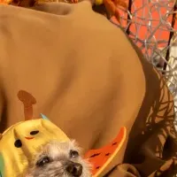 淡路島で愛犬とハロウィン