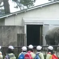 小田原動物園展