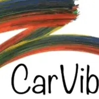 CarVibes®が登場