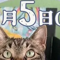 保護猫譲渡会