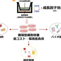 光合成で培養肉改革