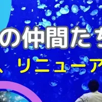 鶴岡市加茂水族館