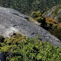 屋久島トレラン合宿