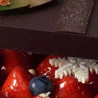 ヴィタメールのクリスマスケーキ