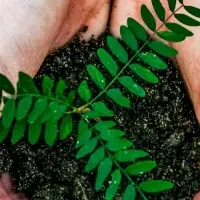 環境配慮の玩具