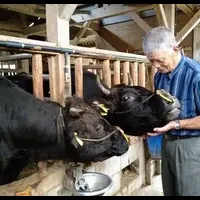 特産松阪牛ギフト