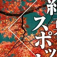 東海紅葉スポット