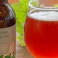 YOKOHAMA Vineyard Ale