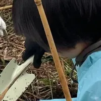 滋賀県甲賀市の育樹