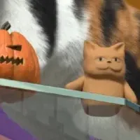 新宿のハロウィーン猫