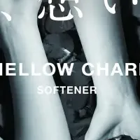 MELLOW CHARM登場