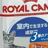 愛猫にアソートパック