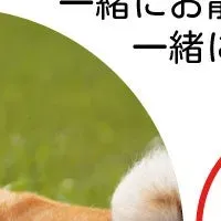 犬の散歩はんこ