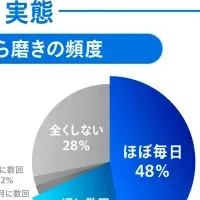 意外な歯磨き実態