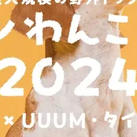 ジャパンわんこフェスタ2024