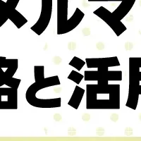 ふるさと納税の戦略