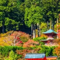 勝尾寺の紅葉特別企画