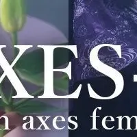 AXES-Xの和の魅力