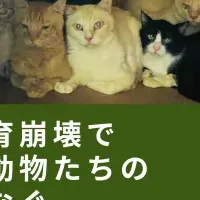 多頭飼育崩壊対策