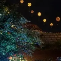 水族館貸切クリスマス